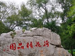 -微山湖红荷湿地景区
