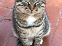 -郑州方特梦幻王国