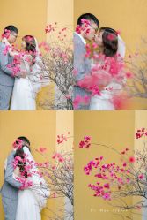 -巴黎婚纱摄影工作室