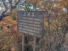 -三块石国家森林公园