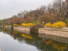 -元大都城垣遗址公园