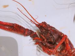 -一棠龙虾•王牌虾球(楚河汉街店)