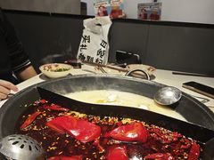 冷鍋血-蛙鱼潭美蛙鱼头火锅(解放碑瑞富广场店)
