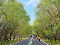 -同里国家湿地公园