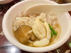 -大中鱼翅 Taitong Shark Fin