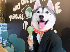 -Dal Cuore 达可芮冰淇淋(陕西北路店)