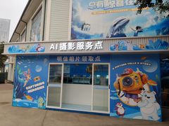 -海合安成都极地海洋公园