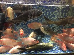 -泓历皇朝酒店(东亭店)