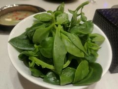 -08涮肉坊(广顺南大街店)