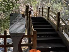 -霸王岭国家森林公园