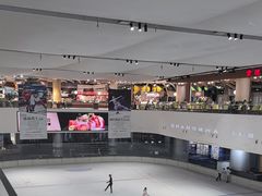 -TheRink大零溜冰场(IFS国金中心店)