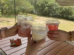 -春花秋色城市公园