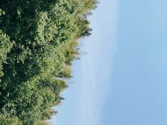 -大围山国家森林公园