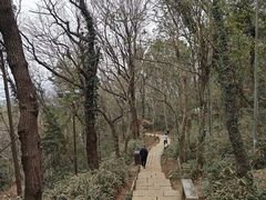-九曜山