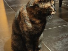 -EATALIA意塔利意式餐厅(鼓楼店)