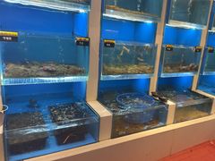 -赶海部落海鲜城(海阳路店)