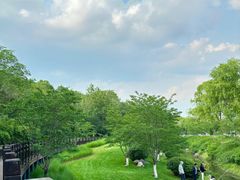 -羊山湖公园