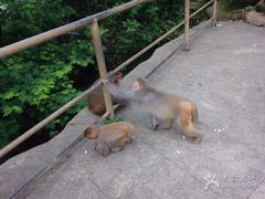 -南沙蒲洲花园