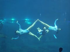 -福州罗源湾海洋世界旅游区