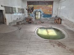 -石家庄市动物园