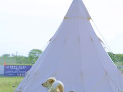 -海宁大尖山滑翔伞运动基地