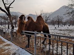 -西安秦岭野生动物园