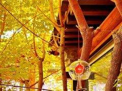 -VOYAGE COFFEE(杨梅竹店)