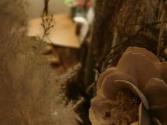 -布梵·台式热敷古法按摩Massage·Spa(品尊国际店)