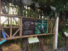 -呀路古热带植物园