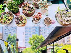-秋木烤肉·韩国牛肉名家(高新旗舰店)