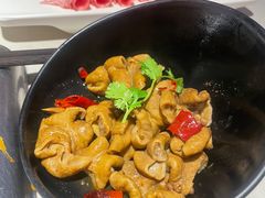 肥肠-海底捞火锅(万丰桥店)