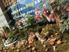 -蔼若春.传承三十年云南菜(金碧公园店)