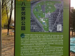 -东升八家郊野公园