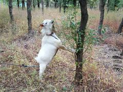 -呼吸森林·生态农庄农家乐私房菜