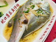 -蛇口康乐快餐鱼仔档(翠苑小区店)