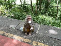-黔灵山公园