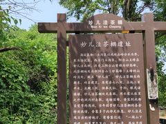 -阳台山自然风景区