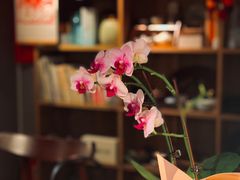 -时光花园(白鹭洲店)