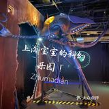 上海宝宝的科幻乐园🌟