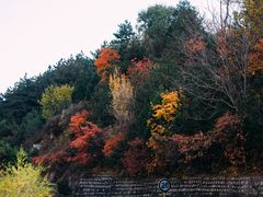 -玉渡山自然风景区