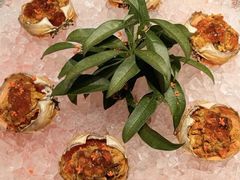 -子福慧(虹桥店)