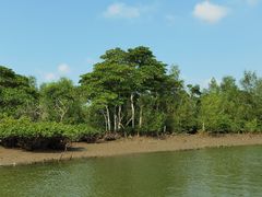 -东寨港红树林旅游区