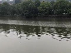 -艾溪湖湿地公园