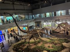 -自贡恐龙博物馆