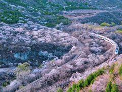 -居庸关长城