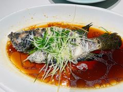 -渔人码头(中南店)