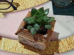 -肆兮眼镜·蔡司·徕卡战略合作店(大坪店)