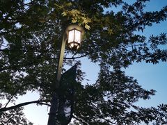 -贵阳市花溪国家城市湿地公园