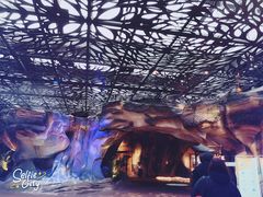 -杭州开元森泊度假乐园