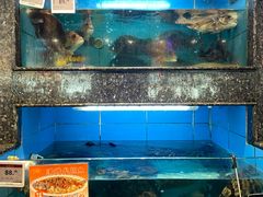 -王庄阿咪海鲜大排档(象园店)